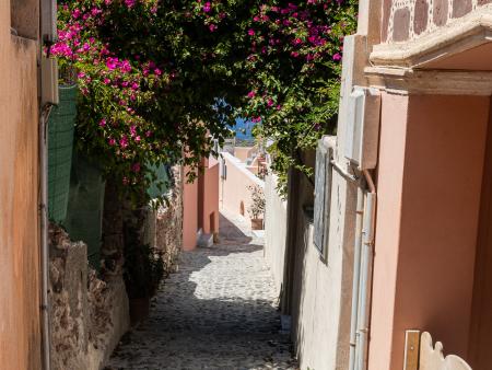 Kathie C. Ballah Follow the Bougainvillea Path