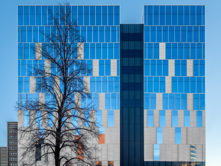 photo of a tree in front of office buildings by Peter Loyd Vuolo