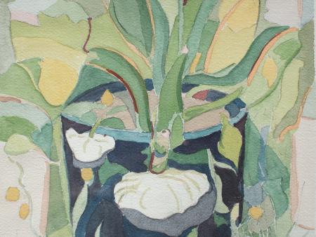 Jeffrey Pavek - Summer Squash