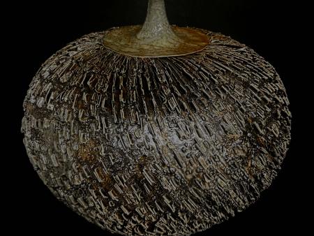 Doman, Carrie - Slip Trailing & Sgraffito Vessel