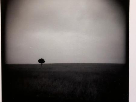 Langley, Todd - Photography