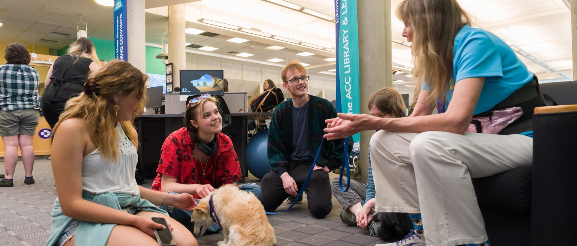 ACC students petting a small tan dog during a Therapy Pets visit to the Library at the Littleton Campus