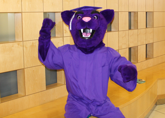 ACC's Puma mascot wearing graduation regalia (cap and gown) and celebrating at the Littleton Campus.