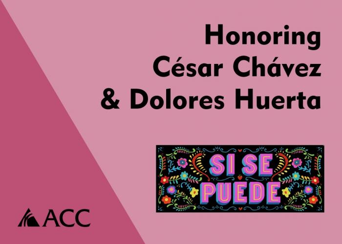 Si Se Puede