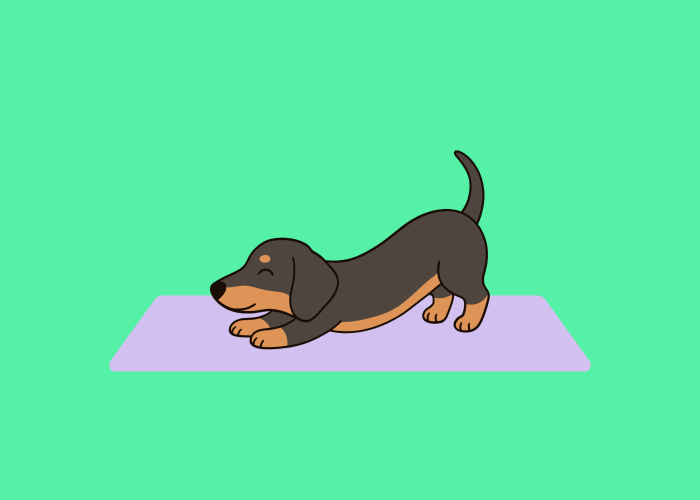 cartoon puppy doing yoga on a yoga mat