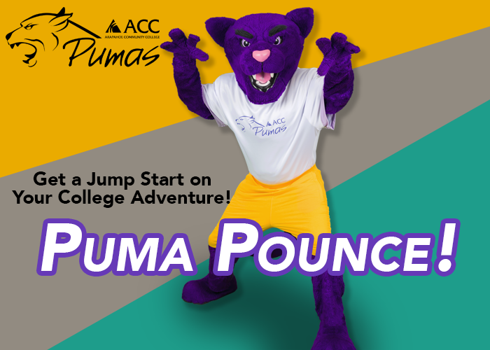 ACC Puma logo - Summit the ACC Puma Mascot - "Puma Pounce - Get a Jump Start on Your College Adventure" - Yellow, gray, and teal background" 