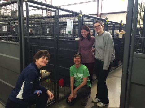 Left to right: Meredith Tofield, Diana Hornick, Josie Mills, Amanda Johnson