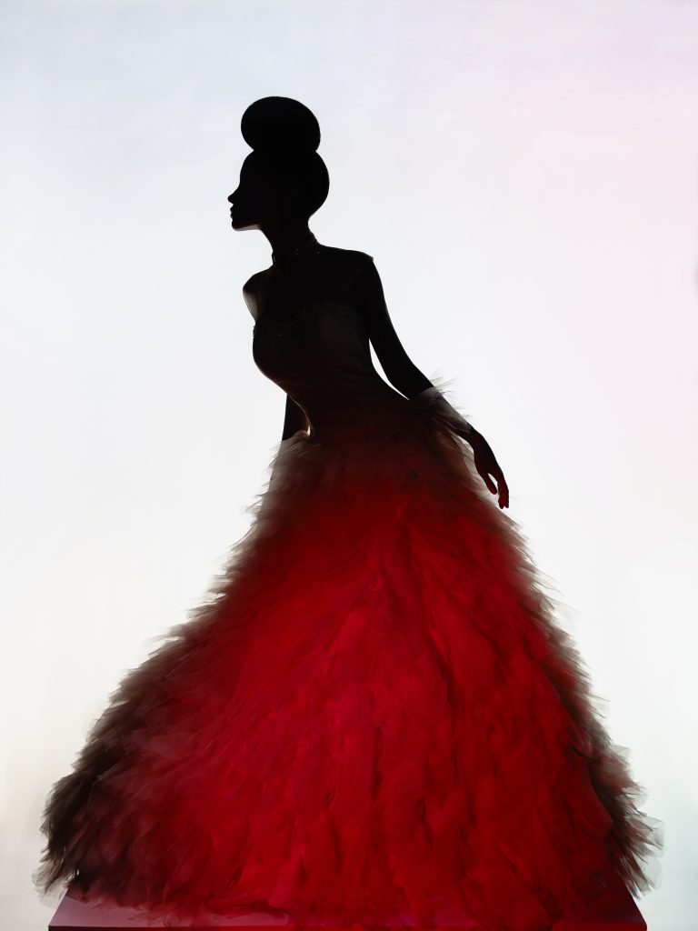 Art fashion studio photo of beautiful elegant woman in luxury evening dress. 