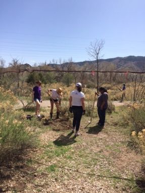 Our ACC student teaches Sarah (also from Student Life) and Whitney, along with Rebecca, how to dig a proper hole.